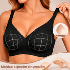 Brasier Anticaída NaturalLift